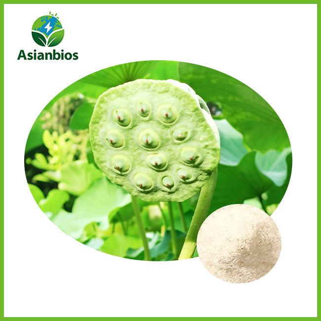 lotus seed extract powder